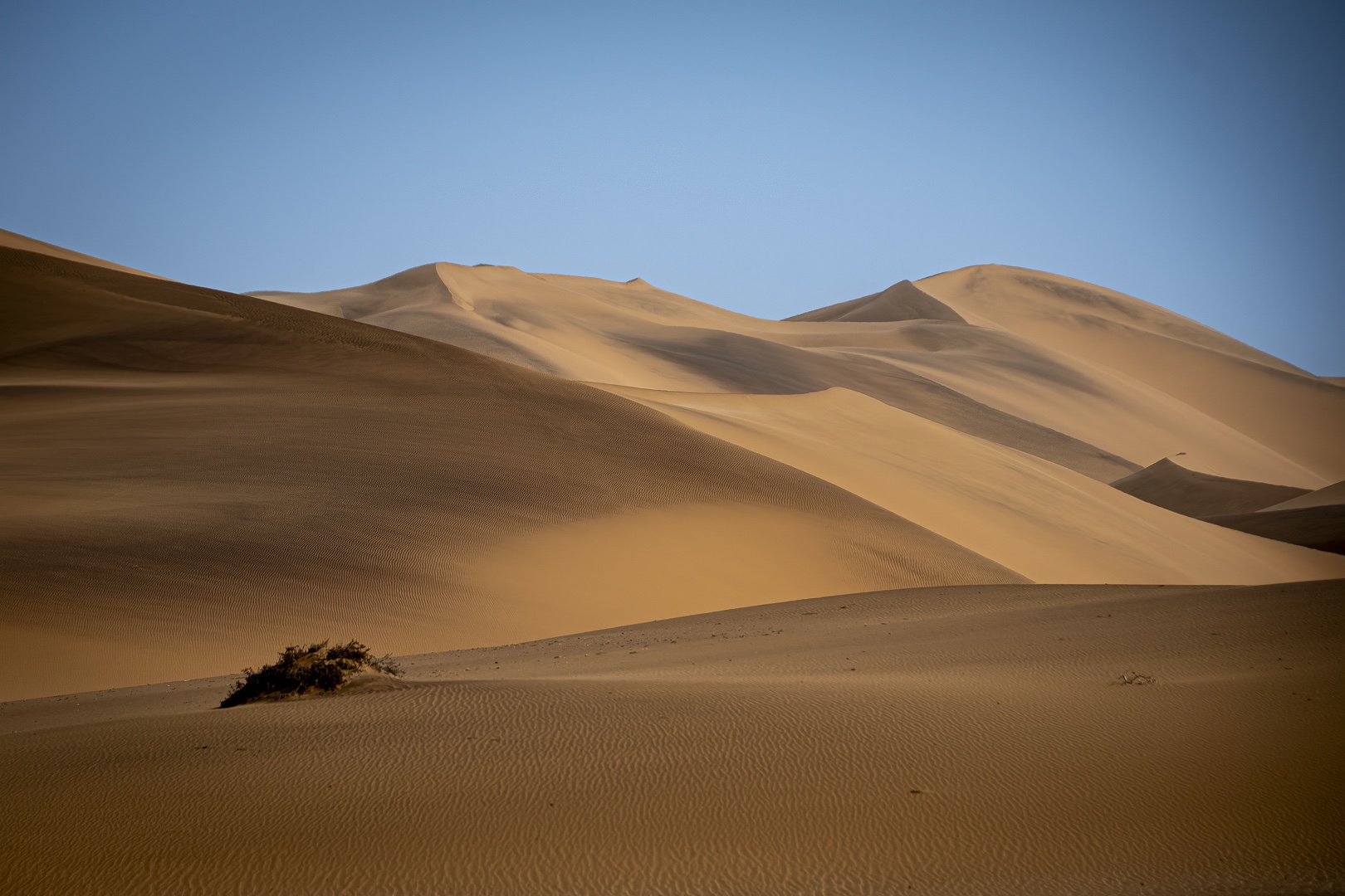 Beelden van de maand April